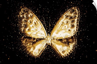 Golden Collection - Butterfly