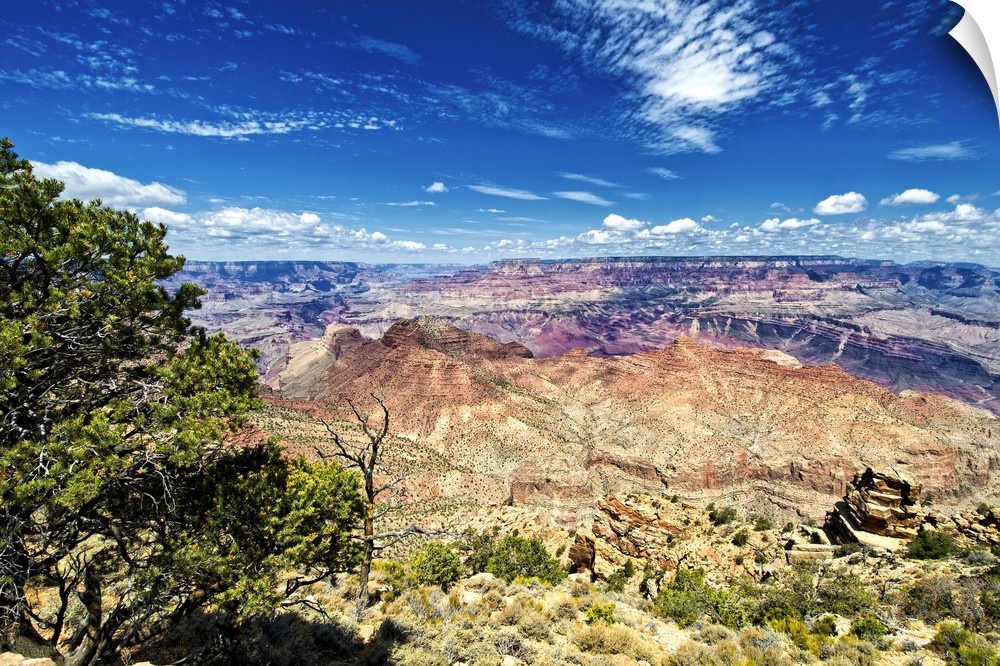 Photo of the Grand Canyon landscape showing the variety of colors found in the desert.