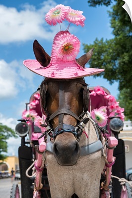 Horse with a Pink Hat