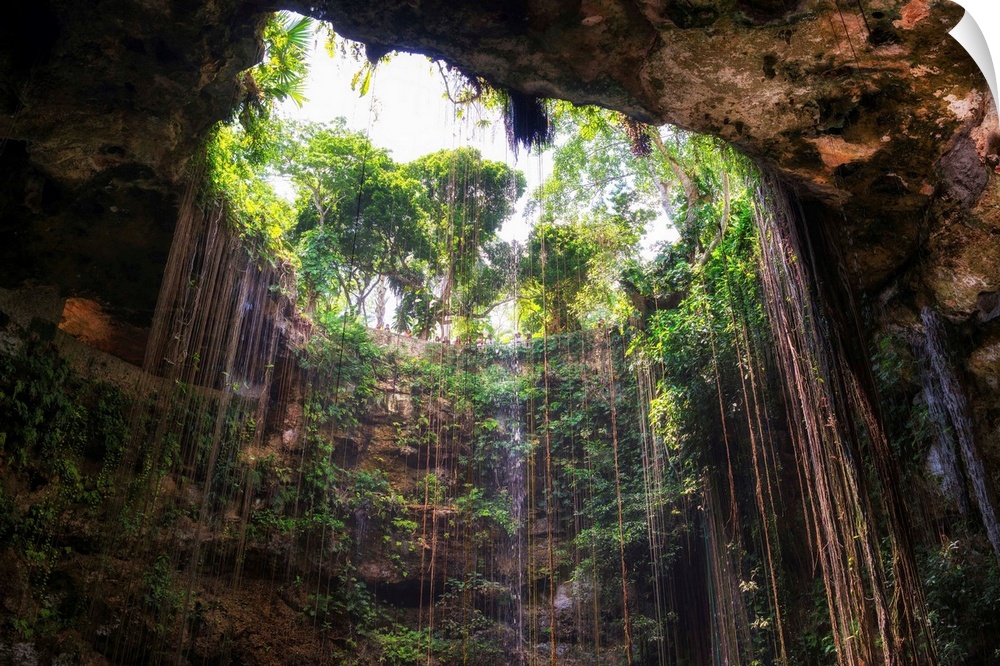 Photograph of the Ik-Kil cenote in Mexico from the bottom looking up. From the Viva Mexico Collection.