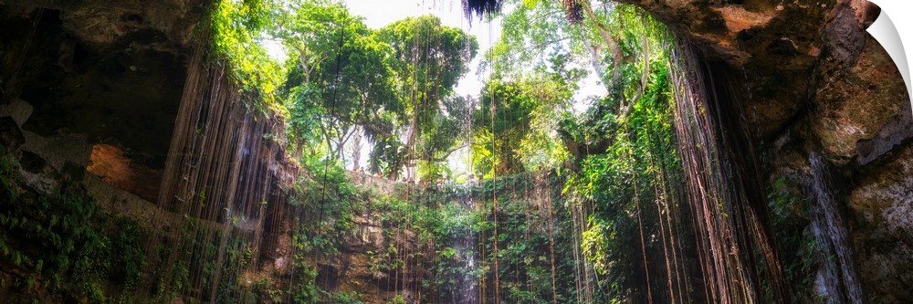 Panoramic photograph of the view from the bottom up at Ik-Kil Cenote in Yucat?n, Mexico. From the Viva Mexico Panoramic Co...