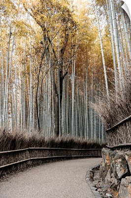 Japan Rising Sun Collection - Bamboo Path II