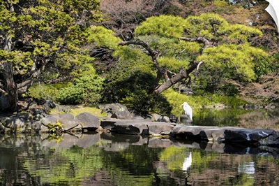 Japan Rising Sun Collection - Japanese Lake