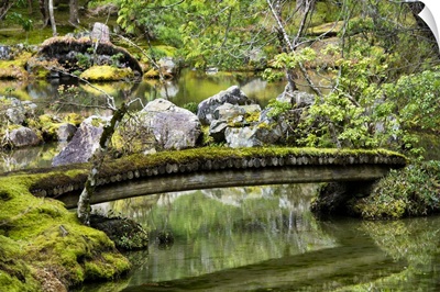 Japan Rising Sun Collection - Moss Bridge