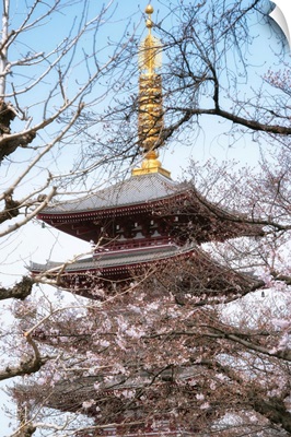 Japan Rising Sun Collection - Pagoda Senjo-ji