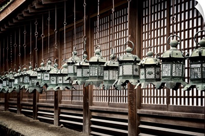 Japan Rising Sun Collection - Sacred Lanterns