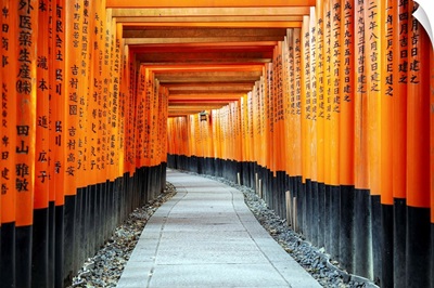 Japan Rising Sun Collection - Torii Gates at Fushimi Inari Shrine