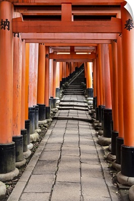 Japan Rising Sun Collection - Torii Gates in Fushimi Inari Shrine