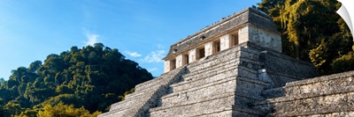 Mayan Temple of Inscriptions with Fall Colors