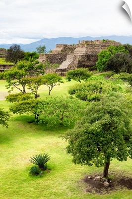 Mayan Temple of Monte Alban II