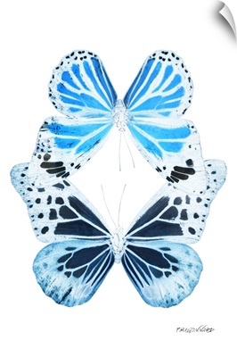 Miss Butterfly Duo Genuswing Ii - X-Ray White Edition