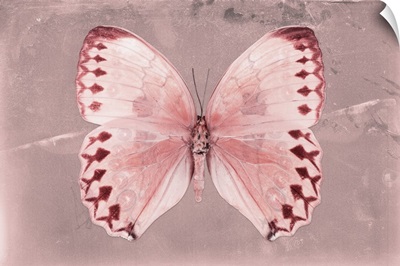 Miss Butterfly Formosana - Red