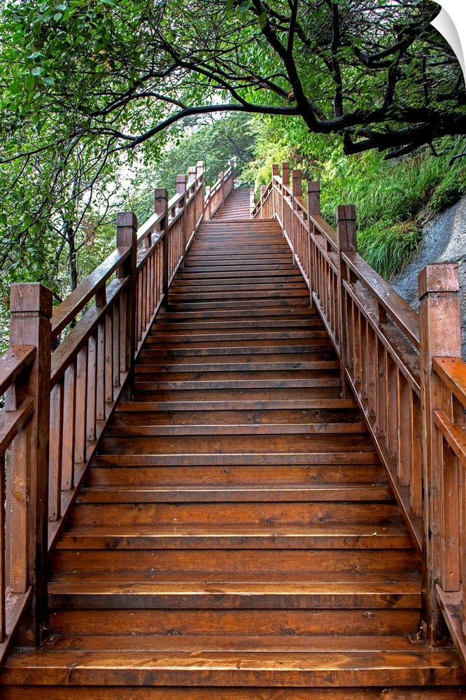 Mountain Wooden Staircase, China 10MKm2 Collection.