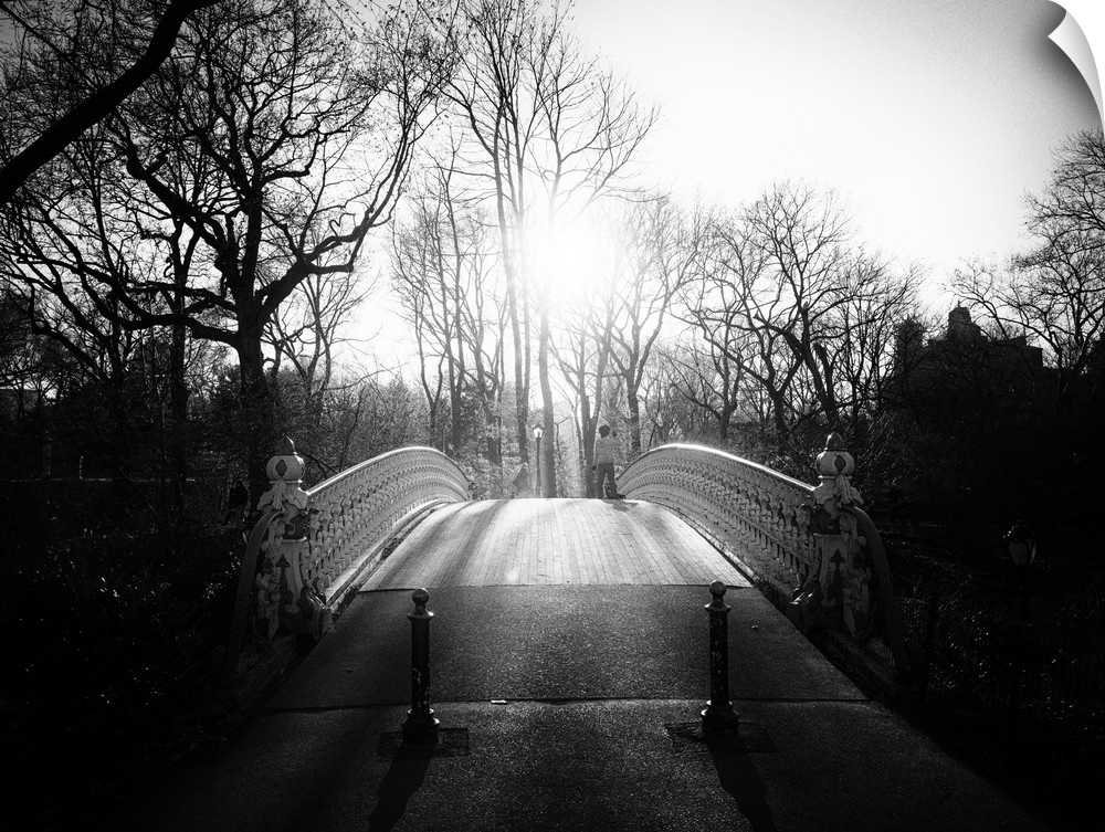 Black and white photograph of a bridge in Central Park, New York city.