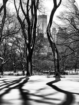 New York City - Central Park under snow
