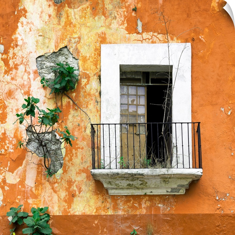 Square photograph of a rustic balcony with orange chipping paint and new plant growth on the exterior wall. From the Viva ...