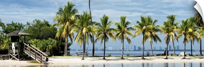 Paradisiacal Beach overlooking Downtown Miami