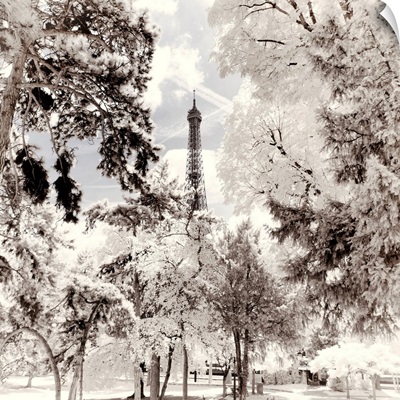 Paris Winter White Collection - Snowy peaks