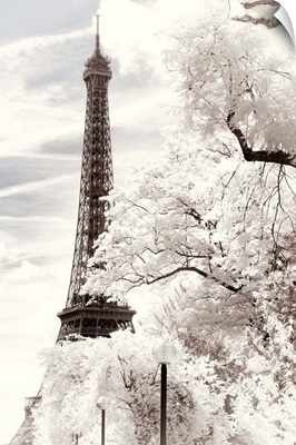 Paris Winter White Collection - The Eiffel Tower