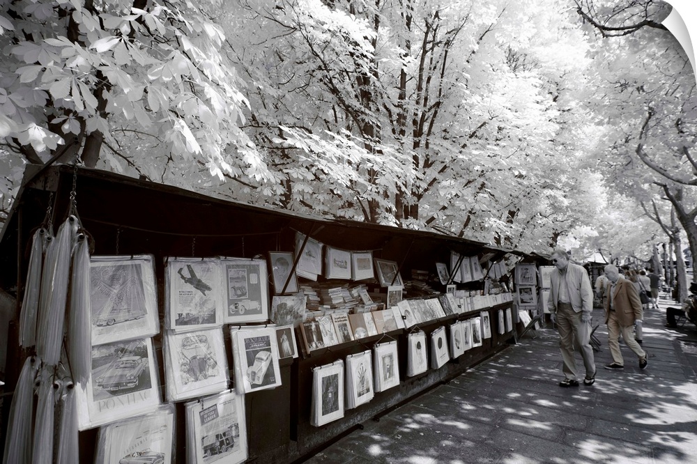 A view of a magazine stand in Paris, made in infrared mode in summer. The vegetation is white and rendering of the sky is ...
