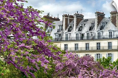 Parisian Landscape, France