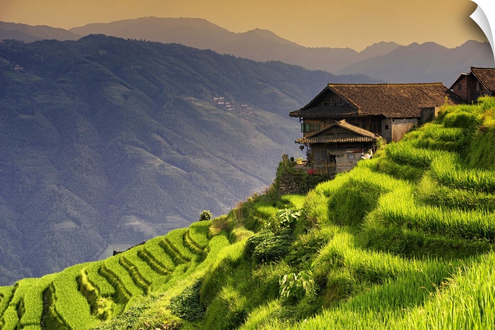 Rice Terraces, Longsheng Ping'an, Guangxi, China 10MKm2 Collection.