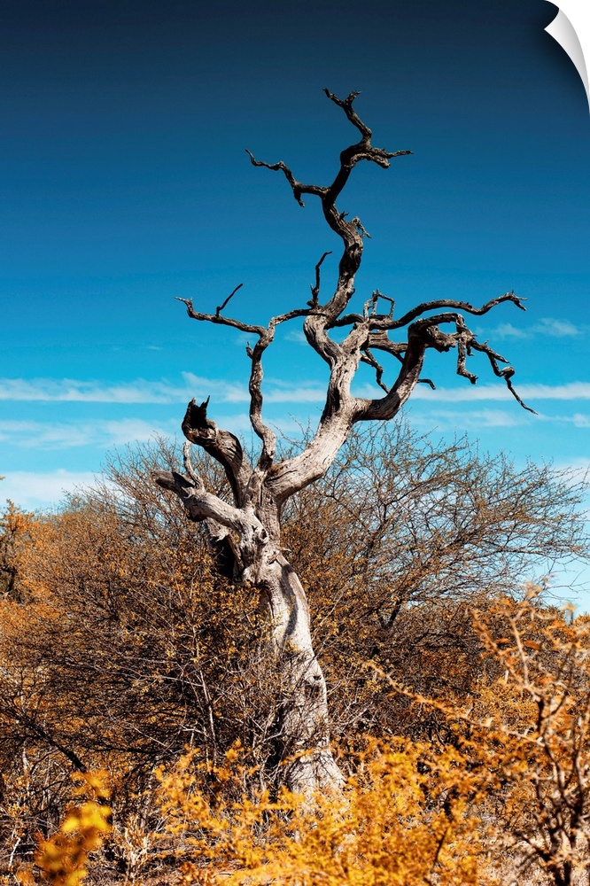Philippe Hugonnard's Awesome South Africa series showcases the endless beauty of the rainbow nation of South Africa. In im...