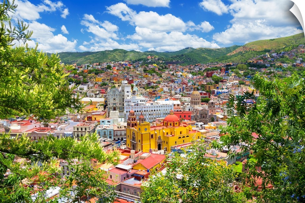 Aerial photograph of a colorful cityscape in Guanajuato, mexico, framed by lush, green trees. From the Viva Mexico Collect...