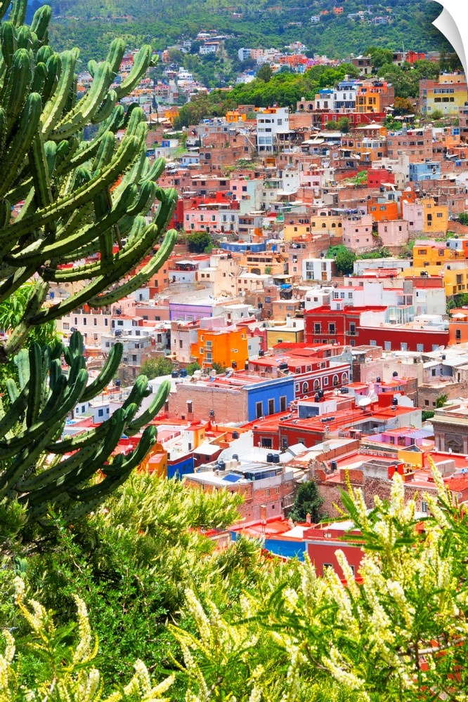 Cityscape photograph of Guanajuato, Mexico, framed with green plants and cacti. From the Viva Mexico Collection.