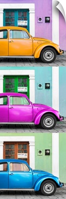 Three VW Beetle Cars with Colors Street Wall XX