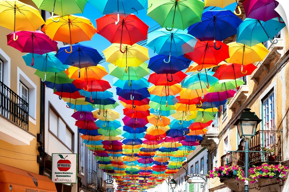 The colourful umbrellas were photographed in the urban streets of Agueda in Portugal.