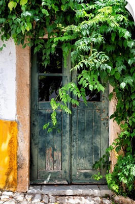Welcome to Portugal Collection - Wild Door