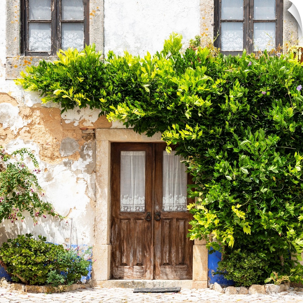 It's an old traditional house facade sported by a beautiful green climbing plant in the medieval town of Obidos (Portugal).