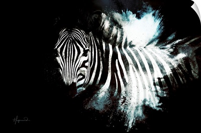 Wild Explosion Collection - The Zebra II