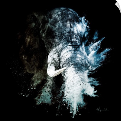 Wild Explosion Square Collection - The Elephant II