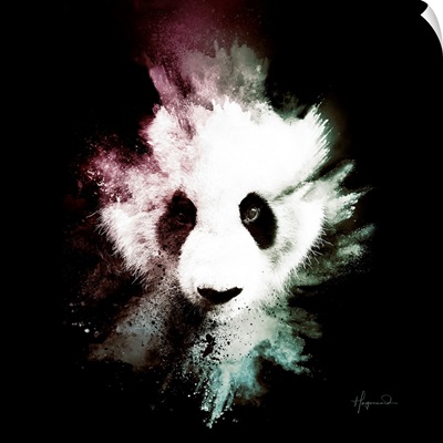 Wild Explosion Square Collection - The Panda