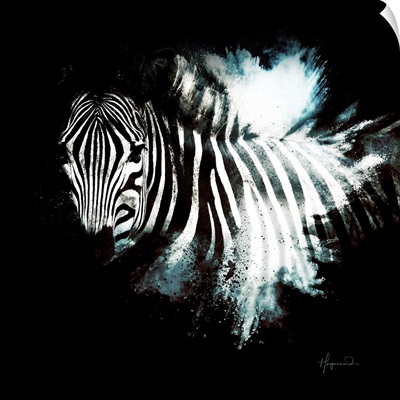 Wild Explosion Square Collection - The Zebra II