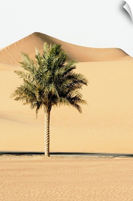 Wild Sand Dunes - Alone In The World