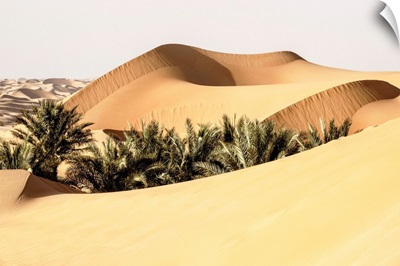 Wild Sand Dunes - Between Two