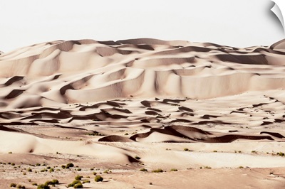 Wild Sand Dunes - Khaki Desert
