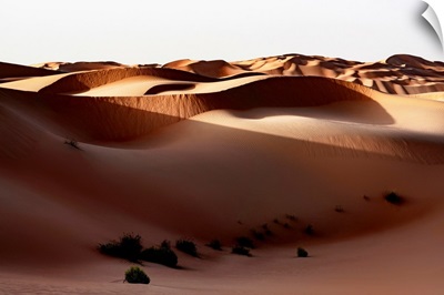 Wild Sand Dunes - Shadow Sunset