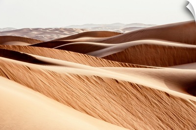 Wild Sand Dunes - The Desert