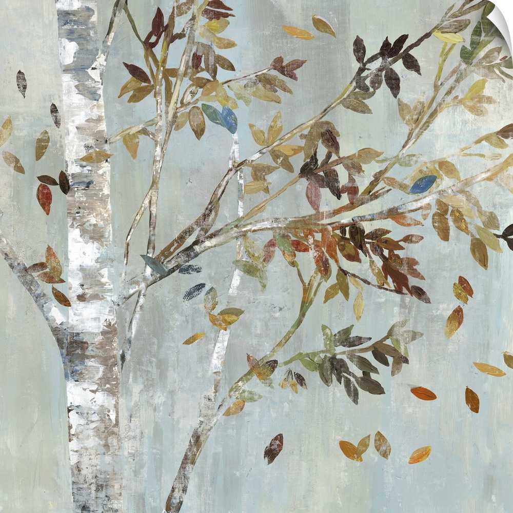 A birch tree with leafy branches in the fall.