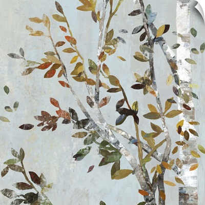 Birch with Leaves II