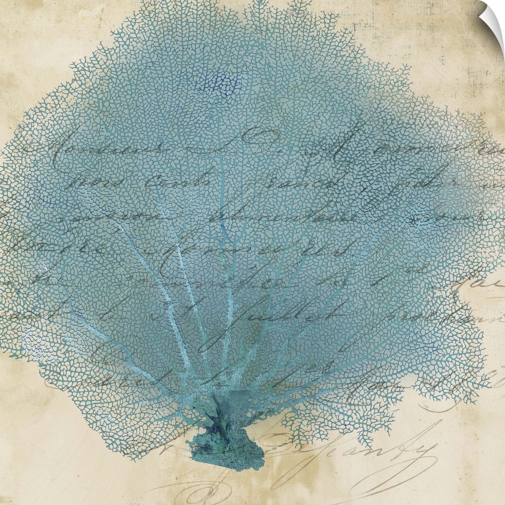 Contemporary home decor art of blue fan coral against a weathered vintage background.