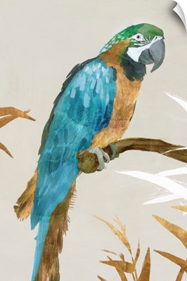Blue Parrot I