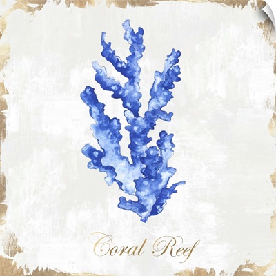 Blue Sea Coral