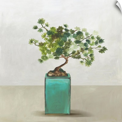 Bonsai Tree III