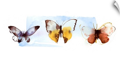 Butterfly Fly Away II