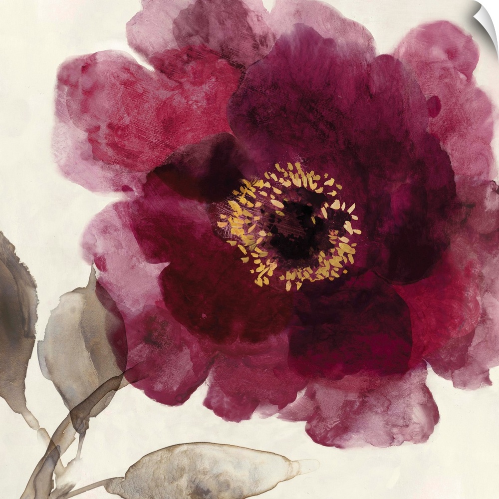 Square watercolor painting of a blooming peony with deep red petals on a beige background.